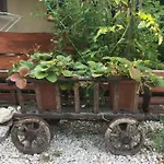 Balatonkenesei Nadfedeles Lovas Vendeghaz