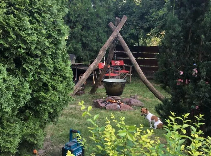 Vakantiehuis Balatonkenesei Nadfedeles Lovas Vendeghaz *