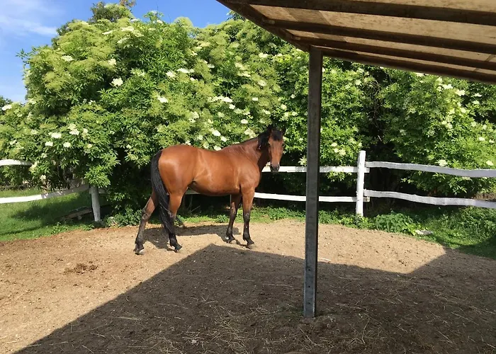 Prázdninový dům Balatonkenesei Nadfedeles Lovas Vendeghaz